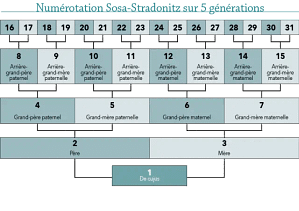 La numérotation Sosa-Stradonitz : un système fondamental en généalogie 6 La numérotation Sosa-Stradonitz