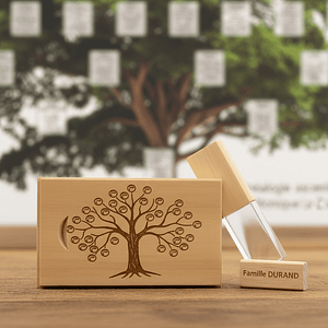 landing Page arbre Noël 2025 6 Nano Banana-2025-10-20-17_33_41 (3)