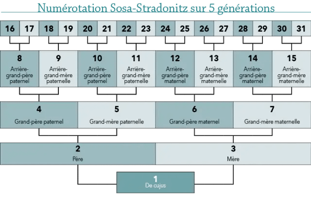La numérotation Sosa-Stradonitz
